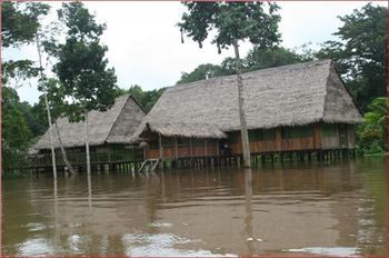 Imagen de la habitación del Hotel Chullachaqui Ecolodge. Foto 8
