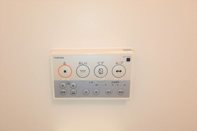 Imagen de la habitación del Hotel Chuo Bridge. Foto 7