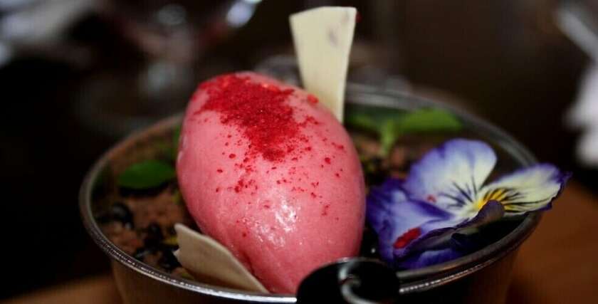 Imagen general del Hotel Churston Manor. Foto 11