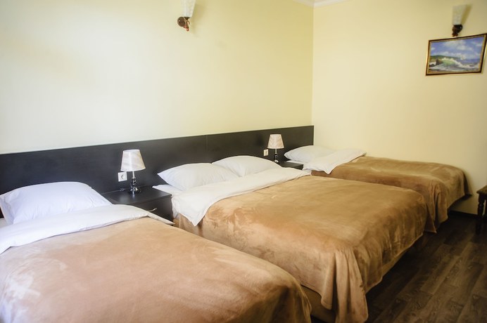 Imagen de la habitación del Hotel Chveni Ezo. Foto 6