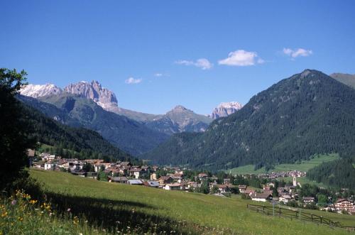 Imagen de los exteriores del Hotel Ciampedie Luxury Alpine Spa. Foto 7