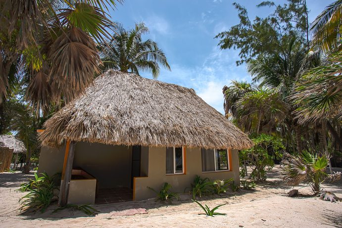 Imagen de la habitación del Hotel Cielo Y Selva. Foto 12