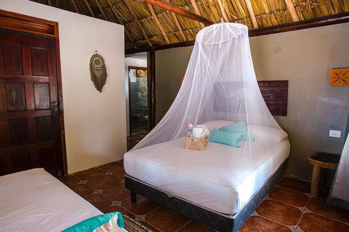 Imagen de la habitación del Hotel Cielo Y Selva. Foto 14