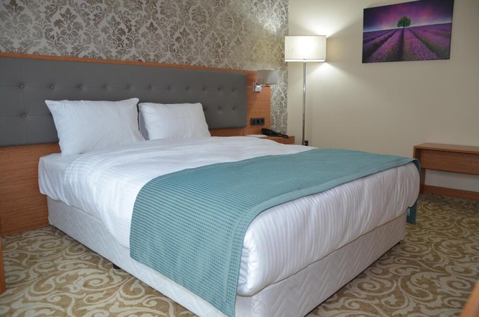Imagen de la habitación del Hotel Cinarpark. Foto 12