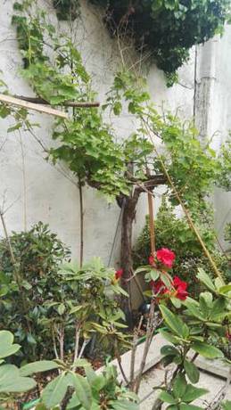 Imagen de la habitación del Hotel Cinépole. Foto 5