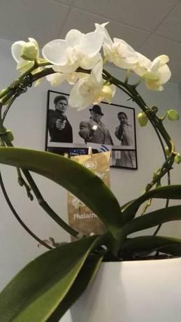 Imagen de la habitación del Hotel Cinépole. Foto 6