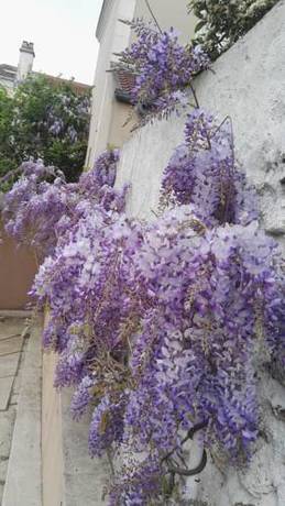 Imagen de la habitación del Hotel Cinépole. Foto 7