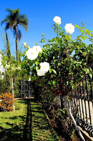 Imagen de los exteriores del Hotel Cinema Suites Bed and Breakfast. Foto 9