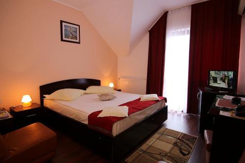 Imagen de la habitación del Hotel Ciric. Foto 8