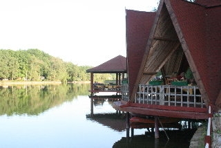 Imagen del bar/restaurante del Hotel Ciric Hotel. Foto 12