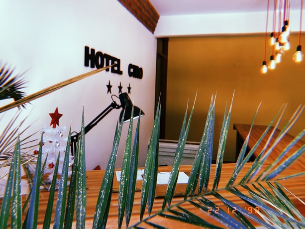 Imagen de los interiores del Hotel Ciro. Foto 13