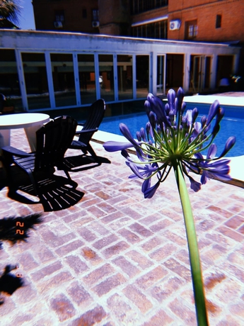 Imagen de la piscina del Hotel Ciro. Foto 19