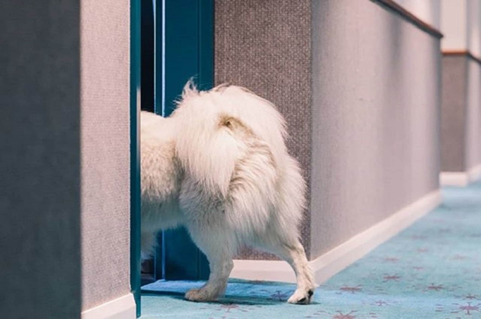 Imagen general del Hotel Citadines Connect Sydney Airport. Foto 2