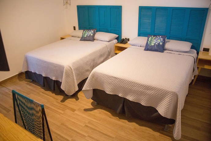 Imagen de la habitación del Hotel Citlalli. Foto 3