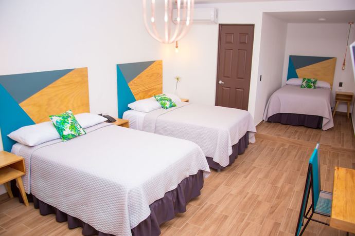 Imagen de la habitación del Hotel Citlalli. Foto 4