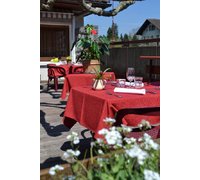 Imagen general del Hotel Citotel L'echo Des Montagnes. Foto 3