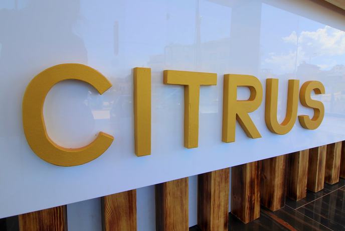 Imagen general del Hotel Citrus, Ksamil. Foto 1
