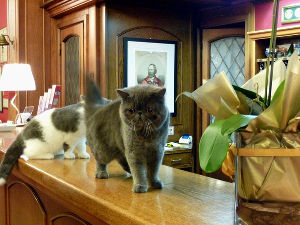 Imagen general del Hotel Città Dei Mille. Foto 2