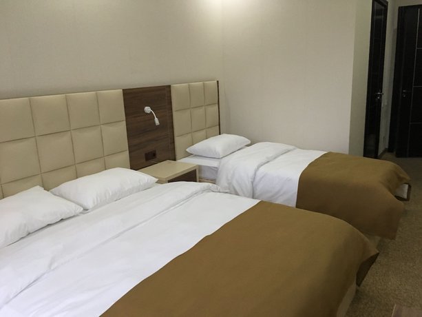 Imagen de la habitación del Hotel City, Batumi. Foto 11
