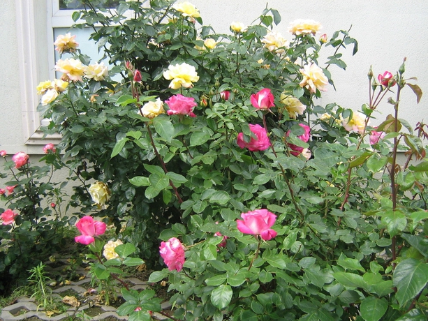 Imagen de los exteriores del Hotel City Bucharest. Foto 11