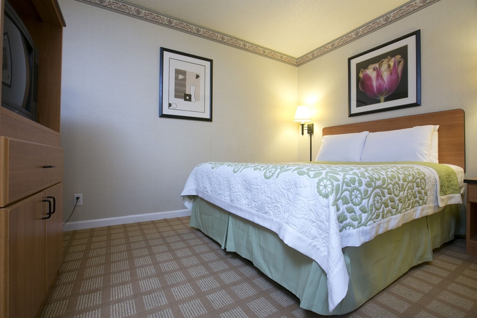 Imagen de la habitación del Hotel City Center Inn and Suites. Foto 12