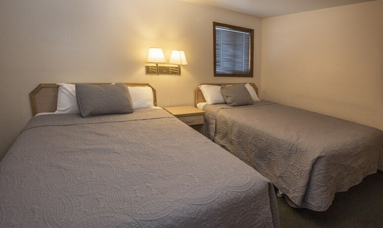 Imagen de la habitación del Hotel City Center Motel, Hamilton. Foto 18