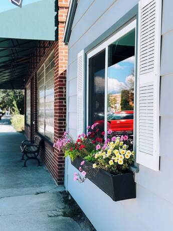 Imagen general del Hotel City Center Motel, Hamilton. Foto 10