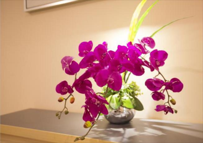 Imagen general del Hotel City Comfort Inn Huanggang Luotian Qiaonan. Foto 2