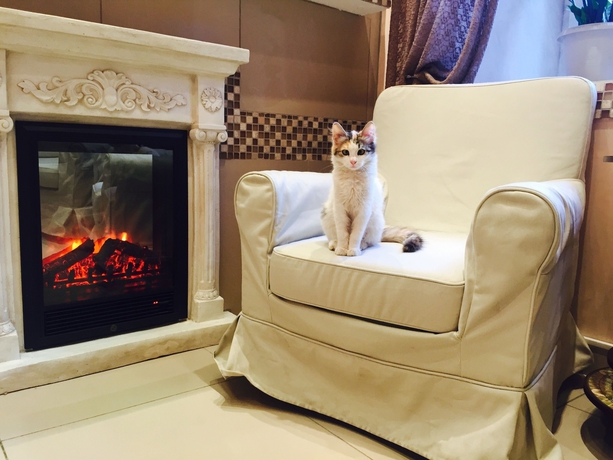 Imagen de los interiores del Hotel City Comfort On Arbatskaya. Foto 19