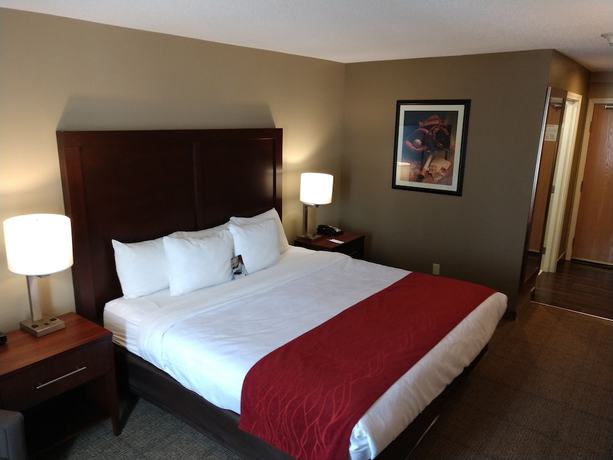 Imagen de la habitación del Hotel City Express by Marriott Milford Cooperstown. Foto 3
