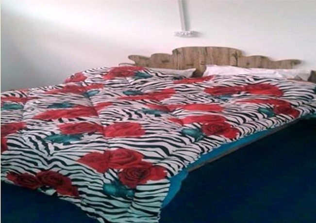 Imagen general del Hotel City Guest House, Kargil. Foto 4