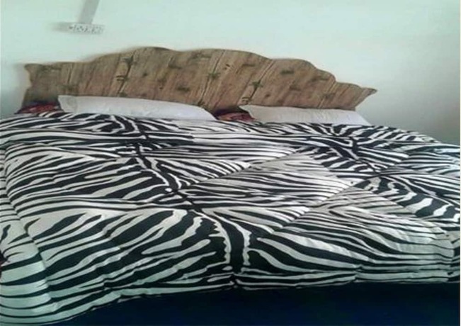 Imagen general del Hotel City Guest House, Kargil. Foto 7