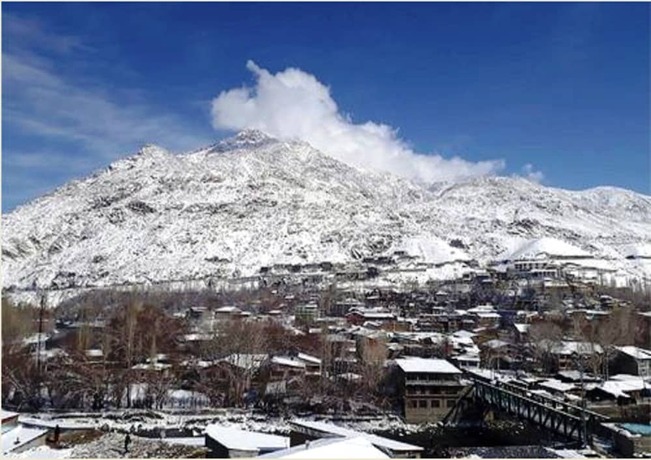 Imagen general del Hotel City Guest House, Kargil. Foto 10