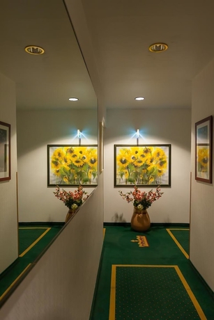 Imagen de los interiores del Hotel City Kaiserhof. Foto 18