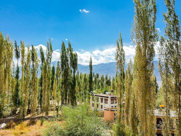 Imagen de los exteriores del Hotel City Palace, Leh. Foto 18