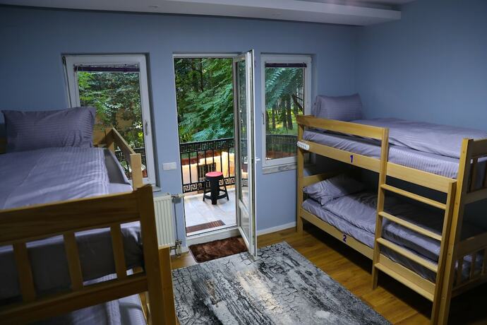 Imagen de la habitación del Hotel City Park Hostel. Foto 14
