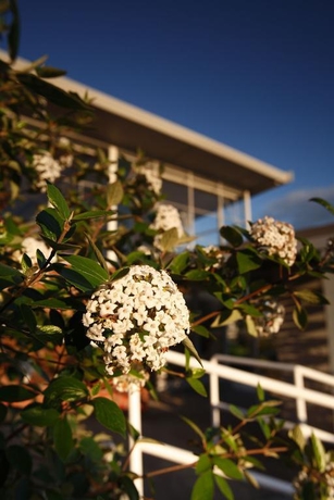 Imagen general del Hotel City View Motel, Hobart. Foto 8
