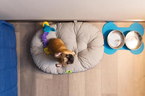 Imagen de la habitación del Hotel City and Suites Foligno. Foto 5