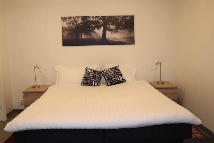 Imagen de la habitación del Hotel CityApartment. Foto 2