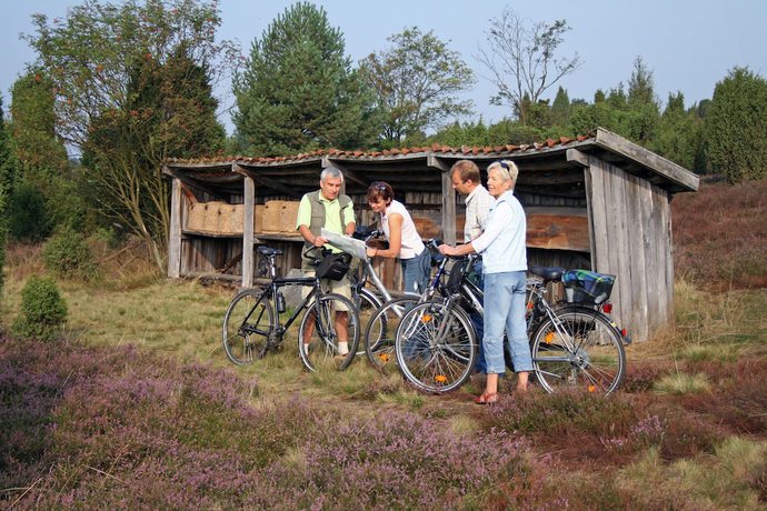 Imagen general del Hotel CityStadt Hamburg Uelzen. Foto 3