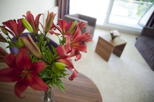 Imagen general del Hotel Cityhotel Dandc. Foto 9