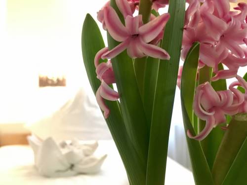 Imagen de la habitación del Hotel City-hotel-garni-diez. Foto 10