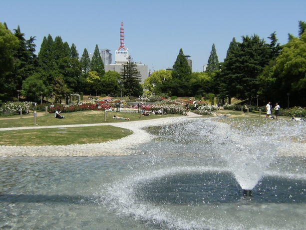 Imagen de los exteriores del Hotel Cityroute. Foto 10