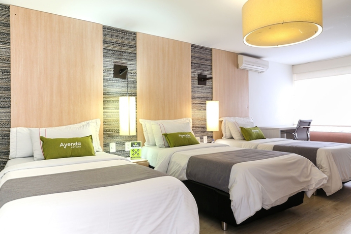 Imagen de la habitación del Hotel Ciudad Bonita. Foto 3