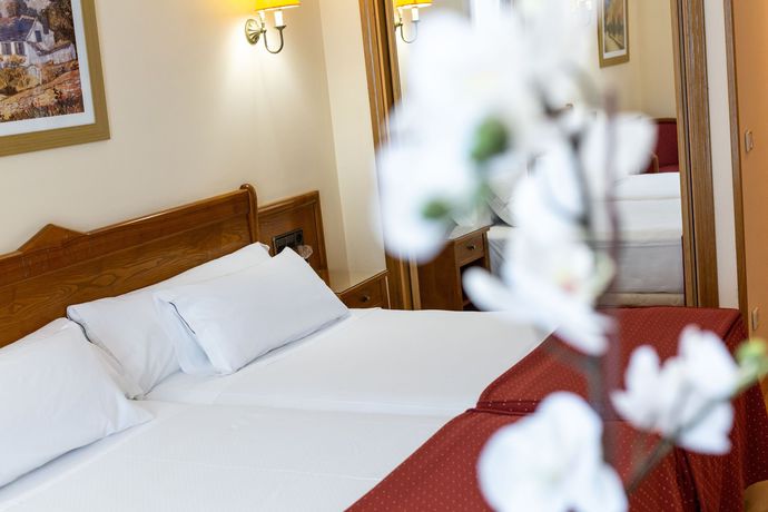 Imagen de la habitación del Hotel Ciudad Cangas De Onis. Foto 5