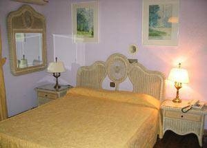 Imagen general del Hotel Ciudad De Alcala. Foto 12