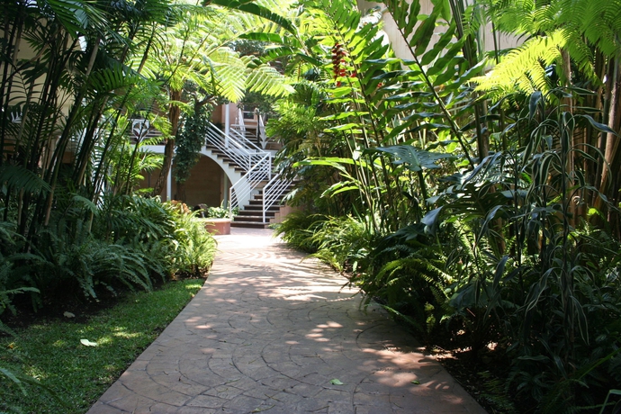 Imagen de los exteriores del Hotel Ciudad Vieja. Foto 8