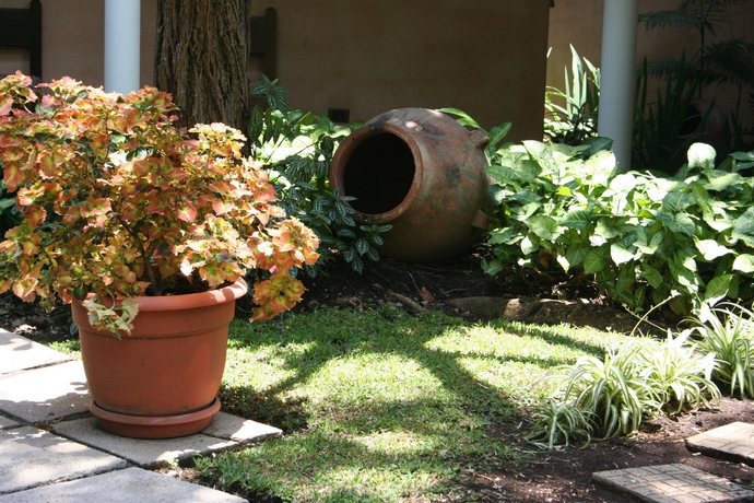 Imagen de los interiores del Hotel Ciudad Vieja. Foto 12