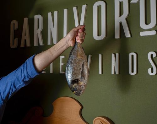 Imagen general del Hotel Ciudad del Sol. Foto 6