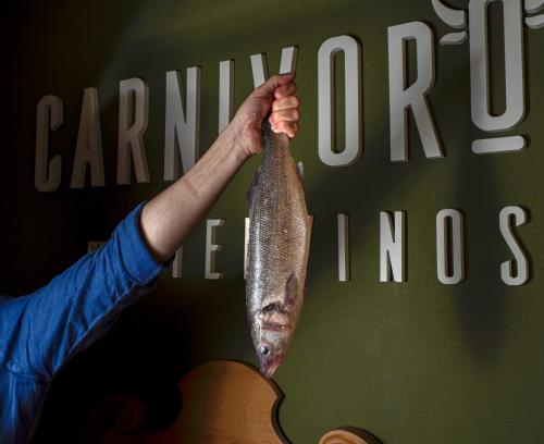 Imagen general del Hotel Ciudad del Sol. Foto 11